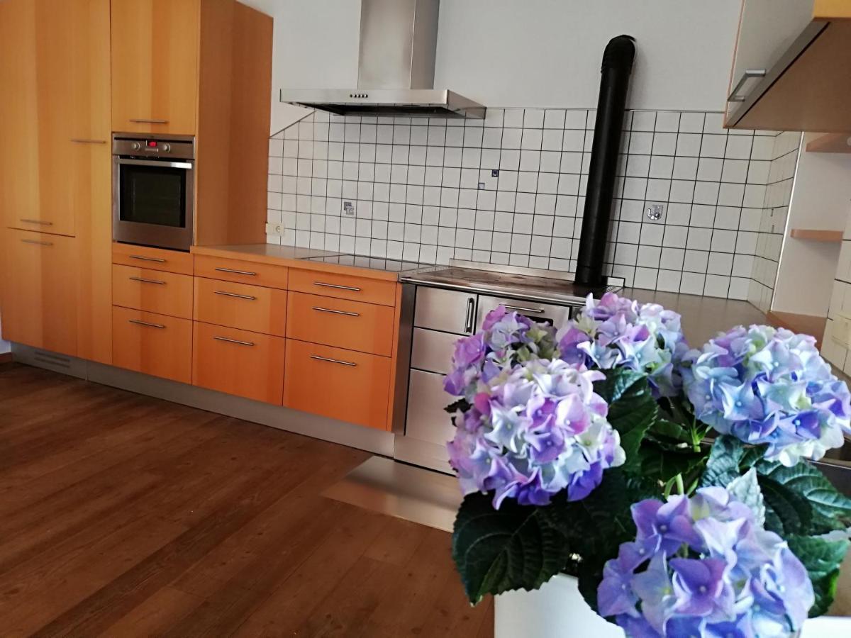 Ansitz Grustdorf Apartment Апиано сула Страда дел Вино Екстериор снимка