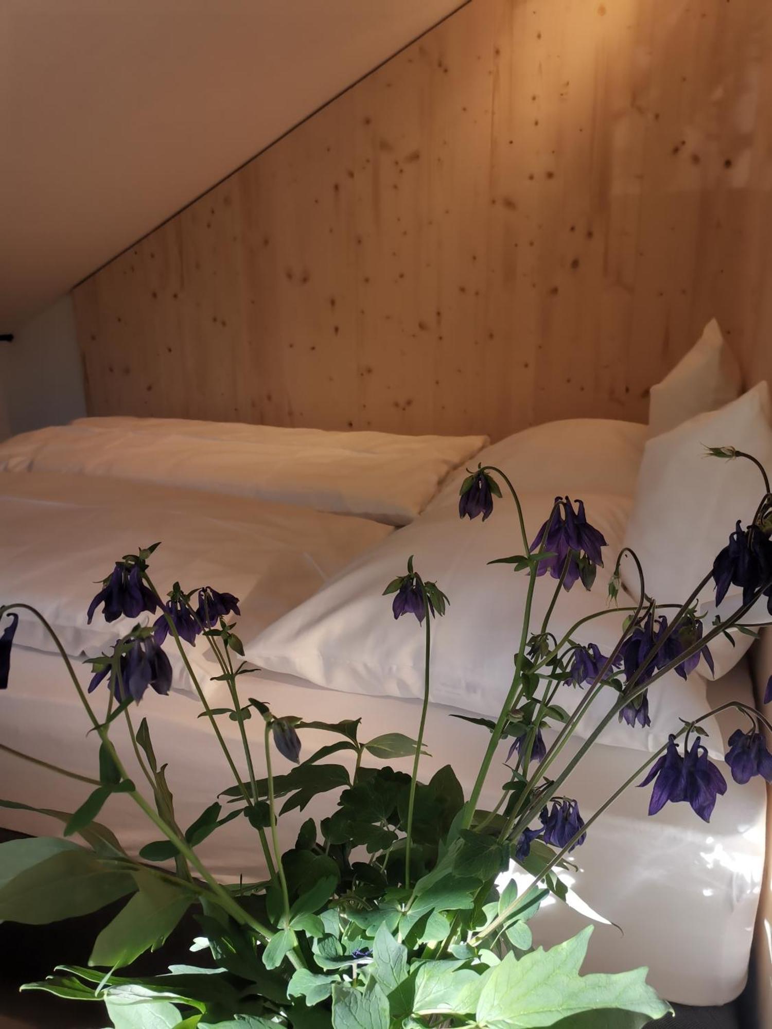 Ansitz Grustdorf Apartment Апиано сула Страда дел Вино Екстериор снимка